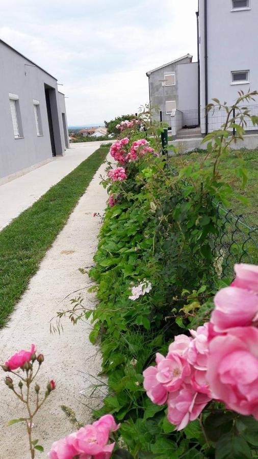 Apartments With A Parking Space Nin, Zadar - 13571 Экстерьер фото